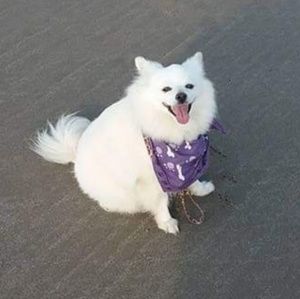 Meet your Posher, Adrienne